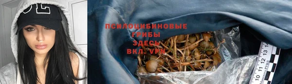 винт Верхний Тагил